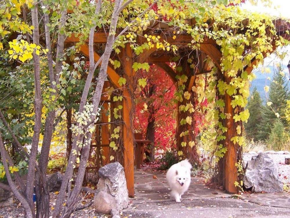 Kapristo Lodge Golden Εξωτερικό φωτογραφία